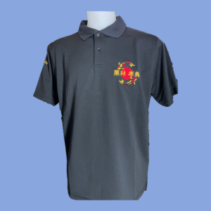 Polo Séminaire - 30 ans Aïkido 06